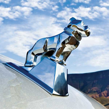 Mack Truck Bulldog Hood Ornament 27RU217B | Raney's Truck Parts