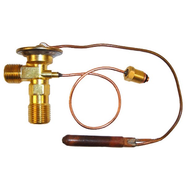 International Expansion Valve 1691469C2