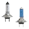 H7 Halogen Headlight Bulbs