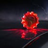 FRED Light Flashing Roadside Emergency Disk Set