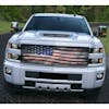 Chevy Pickup Truck Bug Screens By Robert James On White Truck - Old Glory