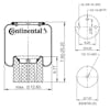 Continental Air Spring Rolling Lobe 0308716 C81-1013 66666 - Diagram