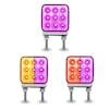 Purple Auxiliary LEDs