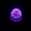 Dual Color Switch HERO LED Watermelon Light - Purple