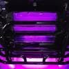 Mack Anthem Grill Accent RGB LED Light Kit with Remote - purple