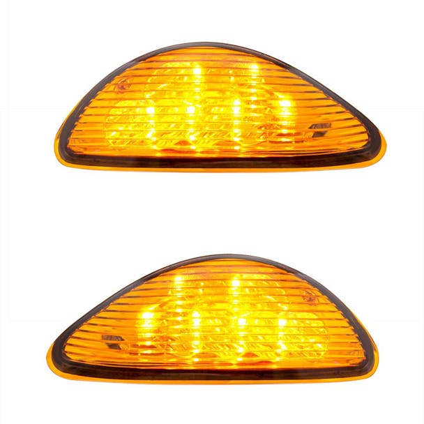 International Durastar Rear Facing Turn Signal & Parking Light - Both On