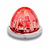 Watermelon LED Turn Signal And Marker Light Clear Red