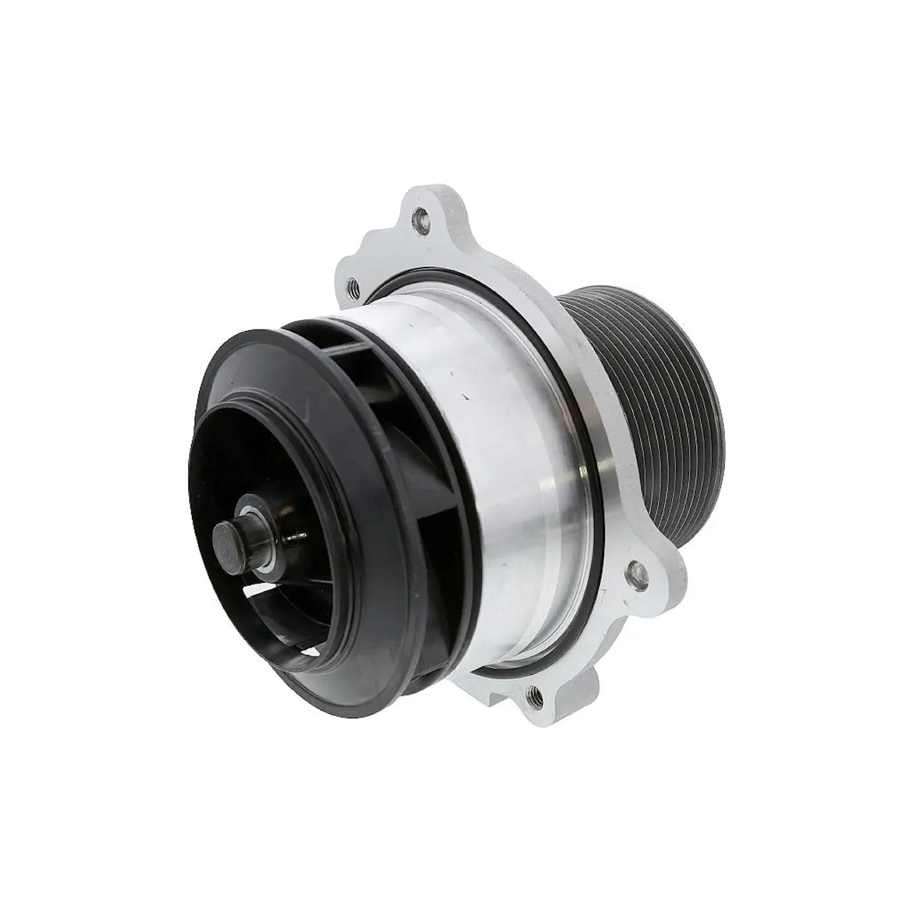 DNJ Engine Components WP138 Water Pump : Buy Online At Best Price In KSA - Souq Is Now