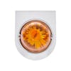 Star-Burst Glass Watermelon Lens Kit With Stainless Steel Bracket & 1157 Bulb - Amber LED/Amber Lens - Front Off