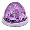 Watermelon Purple/Clear LED Turn Signal And Marker Light Purple