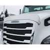Freightliner Cascadia 2018+ Premium 304 Stainless Steel Bug Deflector -installed on truck, driver side view