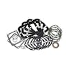 Chelsea 290, 489 Power Take Off Gasket And Seal Kit