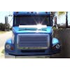 Freightliner FL 50 60 70 80 Stainless Steel Grill Insert On Blue Truck