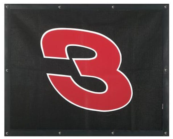 Peterbilt 377 378 379 Dale Earnhardt Number 3 Bug Screen