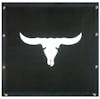 Peterbilt 377 378 379 Cow Skull Bug Screen