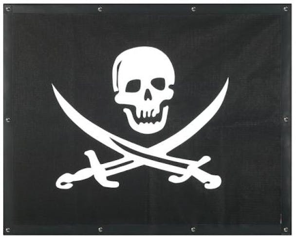 Peterbilt 377 378 379 Pirate Skull Bug Screen